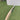 RNS Everlast  - EW. Cricket Bat