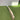 RNS MAX 5 - EW. Cricket Bat