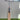 RNS MAX 5 - EW. Cricket Bat