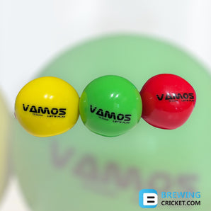 Vamos Weighted Ball - Training Balls