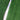 BDM Dynamic Power Xtreme - EW. Cricket Bat